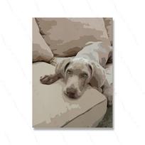 Dalmatinų Dobermano Šuo Sienos Abstraktaus Meno Tapybos Spaudinys Minimalistinis Madingas Prancūzų Augintinis Buldogas Drobės Plakatas Kambario Namų Dekoras 21x30cm No Framed gray