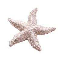 Starfish Figurine Resin Starfish Aquarium Decoration Realistic Artificial Starfish Ornament for Fish Tank Home Nautical Decor DIY Crafts balta