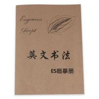 Beginner Calligraphy Practice Workbook - Elegant Carving Script Copybook -14+age group, learn exquisite writing skills