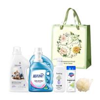 Safeguard Personal & Home Cleaning 5-Piece Essential Set