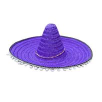 Straw Sombrero Hat Fiest Hat Mini Mexicans Sombrero Hat Mexicans Hat Fiest Party Hat Sombrero Party Hat Mexicans Party violetinė