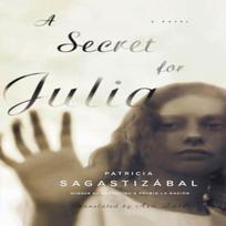 A Secret for Julia by Patricia Sagastizabal Paperback Book 9780393342499