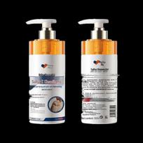 Fujita Pharmaceutical Sulfur Shower Gel