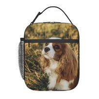 Custom Cavalier King Charles Spaniel Square Insulated Lunch Bag for Women Children Portable Food Boxes Thermal Lunch Box Tote One Size