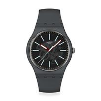 SWATCH Unisex Watch 41 mm COBBLESTONE STREET SO29A101 Casual [Swatch] pilka spalva