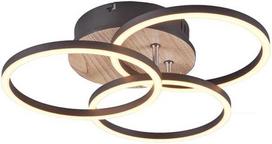 REALITY Lubų šviestuvas Trio Circle R62823135, LED, 2700 - 6000 °K, 1 x 27 W