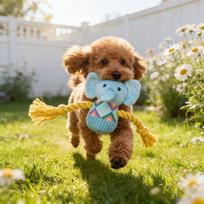 Sturdy Animals Designed For Heavy Chewers, Indestructible Sturdy Pet Toys, Squeaky Pet Toys For Heavy Chewers, Interactive Dog Toys One Size mėlyna