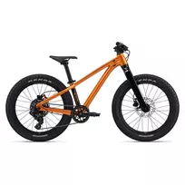 None Vaikiškas dviratis GIANT STP 20, metalo oranžinis