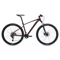 None Dviračių GIANT Talon 29 1 GE, Hematitas, M,