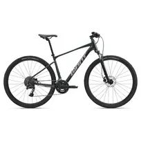 None Dviratis GIANT Roam 2, asfalto žalias, L,