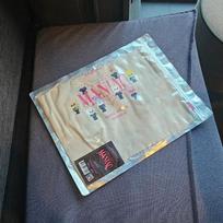 STRAY KIDS Skies Skiju Maniac Soul Special Eco Bag Official MD Unopened