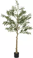 Koduva Dirbtinis alyvmedis, 150 cm, 720 lapų, 40 alyvuogių, žalias