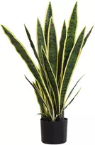 Koduva Dirbtinis gyvačių augalas vazonėlyje, žalias, 77 cm