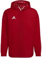 Adidas Entrada 22 Visiems Orams Striukė Vyrams IK4009
