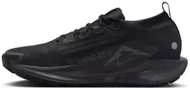Nike Moterims REACTX PEGASUS TRAIL 5 GTX (FQ0912-002)