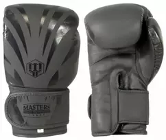 Odines bokso pirštinės Masters RBT-Matinis 12 oz 01333-MATT12