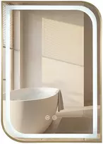 rea Veidrodis LED ZONE 70X50 BRUSH GOLD