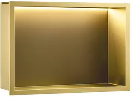 rea ĮMONTUOJAMA VONIOS LENTYNA LED 30x45 brush auksinis