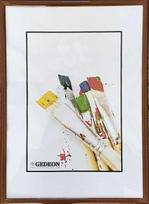 Gedeon Rėmelis GED 60x80 plast EASY rudas | 8mm