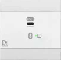 Audac AUDAC NWP400/W Tinklo garso įvesties skydelis – USB Type-C Baltas versija