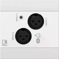 Audac AUDAC NWP320/W Tinklo garso įvesties skydelis - 2 x XLR + 3,5 mm lizdas + BT (4 CH) Balta versija