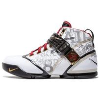 Nike LeBron 5 Mr. Basketball 317253-101 44 balta