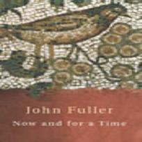 Now and for a Time by John Fuller Paperback Book 9780701173517