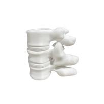 3D Printed Spine Shape Pen Holder Plastic Spine 3D Vase Spine Vertebrae Pen Holder  Doctors balta