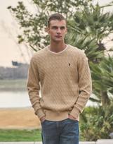 Us Polo Assn Cotton Long Sleeve Cable Round Knit_Oatmeal Oatmeal/100