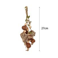 Papūgų reikmenys Narvas Kandimo treniravimo pagaliukas Plėšomas žaislas Virvutė Paukščių kramtomasis žaislas Banguotajoms papūgėlėms, meilės paukščiams, nimfoms, kakadu, konūrams