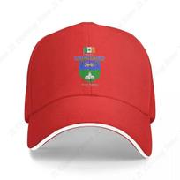 GRAFIJOS WICKLOW AIRIJA OFICIALUS HERBAS Beisbolo Kepurė Skrybėlė Paplūdimio Hip Hop Prabangus Prekės ženklas Mergaitėms Unisex Adjustable