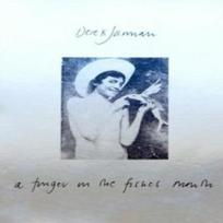 A Finger in the Fishes Mouth by Derek Jarman Paperback Book 9781913513634