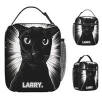Evil Larry Cat Dank Brainrot Meme Lunch Bag Funny Lunch Box Office Portable Zipper Thermal Tote Handbags For Women Cooler Bag One Size