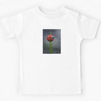ladybug Kids T-Shirt 100