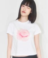 Iligo Drawing Rose Loose Crop T-Shirt White Os