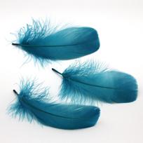 8-13cm 50vnt/maišelis Dažytos žąsies plunksnos DIY Interjero dekoravimo aksesuarai 8-13cm 50pcs/bag