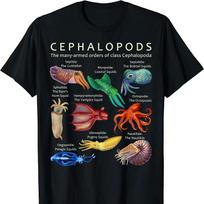 The Cephalopod: Octopus, Squid, Cuttlefish and Nautilus T Shirt New 100% Cotton Short Sleeve O-Neck T-shirt Casual Mens Top -... S įvairiaspalvis