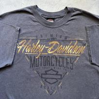 Vintage Y2K Grey Harley Davidson Grey Biker Chick Pinup Graphic T Shirt Unisex T-Shirt XXXXL