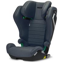 Automobilinė kėdutė Recaro Axion 1, pilka sp., 15 - 36 kg