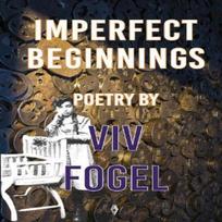 Imperfect Beginnings by Viv Fogel Paperback Book 9781913211981