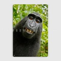 Black spider Madhubani Indian Monkey Rider im gonna come with you like a spider monkey Metal Vintage Wall Tin Sign Posters 20x30cm（7.8x11.8inch）