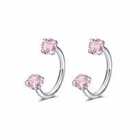 2 PCS Stainless Steel Cartilage Helix Earrings Elegant Daith Piercing Jewelry Nose Ring  Gift Style B