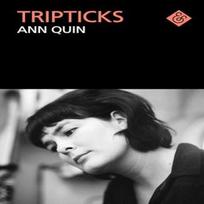 Tripticks by Ann Quin Paperback Book 9781913505400