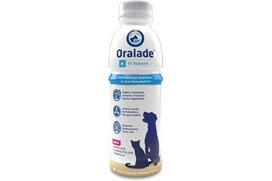 ORALADE izotoninis elektrolitų gėrimas šunims ir katėms, 500 ml