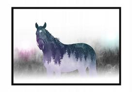 Obraz plakat w ramie 43x33 cm koń p1202