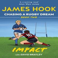 Chasing a Rugby Dream by David Brayley Paperback Book 9781913538255