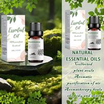 Frankincense Foreign Trade Hot-selling Aromatherapy  Oil Diffuser Car Massage Cold 10ml