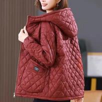 Middle Aged Mother Loose Casual Women's Winter Parka Coat Comfortable Long Sleeve High-end Ladies Jacket M bordinė