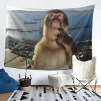 Thinking Monkey Meme Tapestry Wall Hanging for Bedroom, Living Room, Dorm, Funny Aesthetic Home Decor 100X70CM