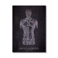 Abstraktaus žmogaus anatomijos meno kūrinys Medicininė tapyba Raumenys Skeletas Švietimas Sienos meno paveikslas Plakatas Drobės tapyba Namų dekoravimui 21x30cm No Framed gray